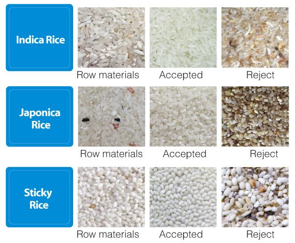 Portable Ccd Rice Color Sorter 2 Chute Color Sorting Equipment