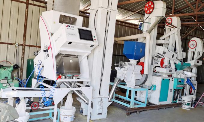 Peeled Split Mung Beans Color Sorter With Double Sort