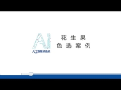 Professional Peanut Color Sorter Peeling Peanuts Color Sorting Machine