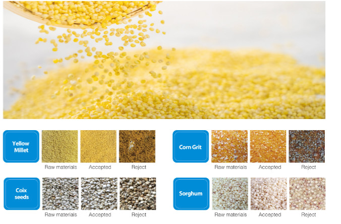 Automatic 4 Chutes Agriculture Rice Color Sorting Machine High Efficiency